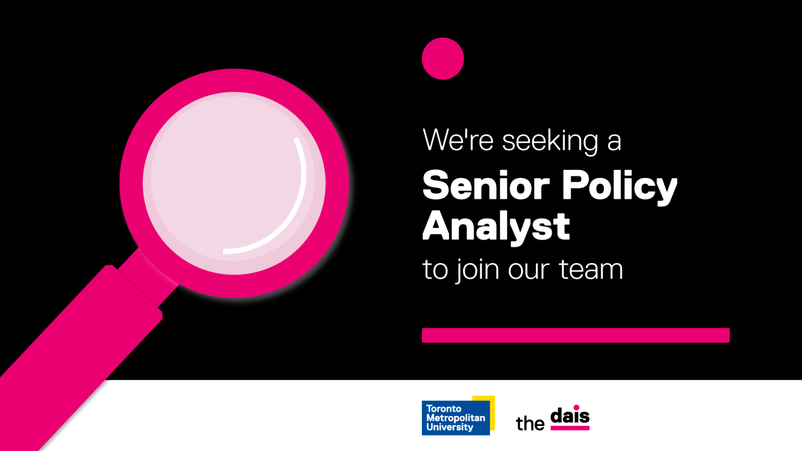 Senior Policy Analyst