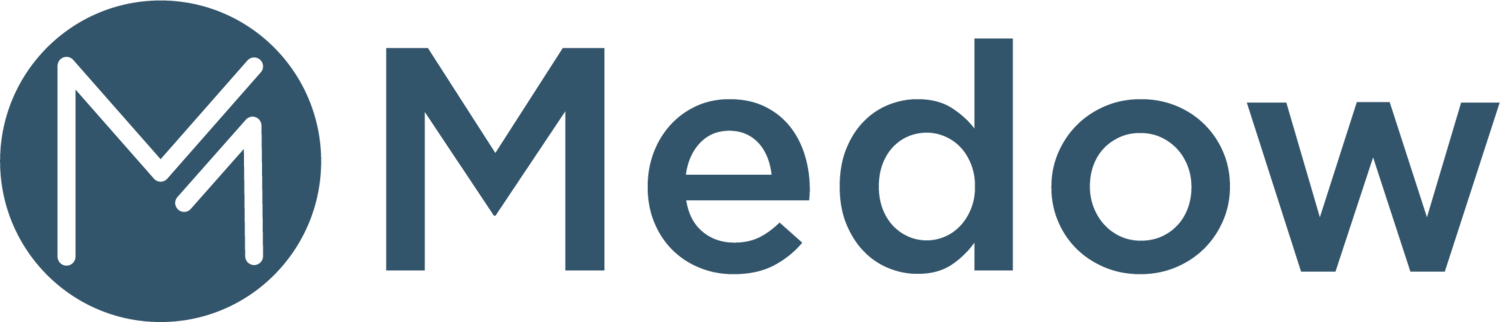 MEDOW Consulting logo